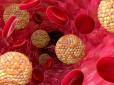 Творять дива! Продукти для зниження холестерину - вони ще й дуже смачні