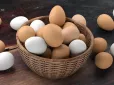 Є норма: Скільки яєць насправді безпечно з’їдати щодня