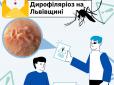 Просто вкусив комар! У Львові лікарі видалили з ока чоловіка... 12-сантиметрового гельмінта