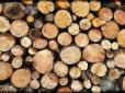 На замітку! Чи підходять для опалення дрова, що залишилися з минулого року