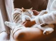 Це може здивувати! Чому коти так люблять спати біля ваших ніг