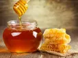 Як вибрати мед: Який зміцнює імунітет, а який багатий на мінерали