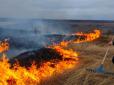 Штраф шалений!  Українцям нагадали про покарання за спалювання сухої трави