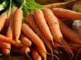 Дачникам на замітку! Чому морква виростає кривою