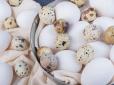 Варто знати! Які яйця корисніші - перепелині чи курячі