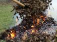 Буде штраф? Чи можна на своєму подвір’ї, городі спалювати гілки, рослинність, сміття
